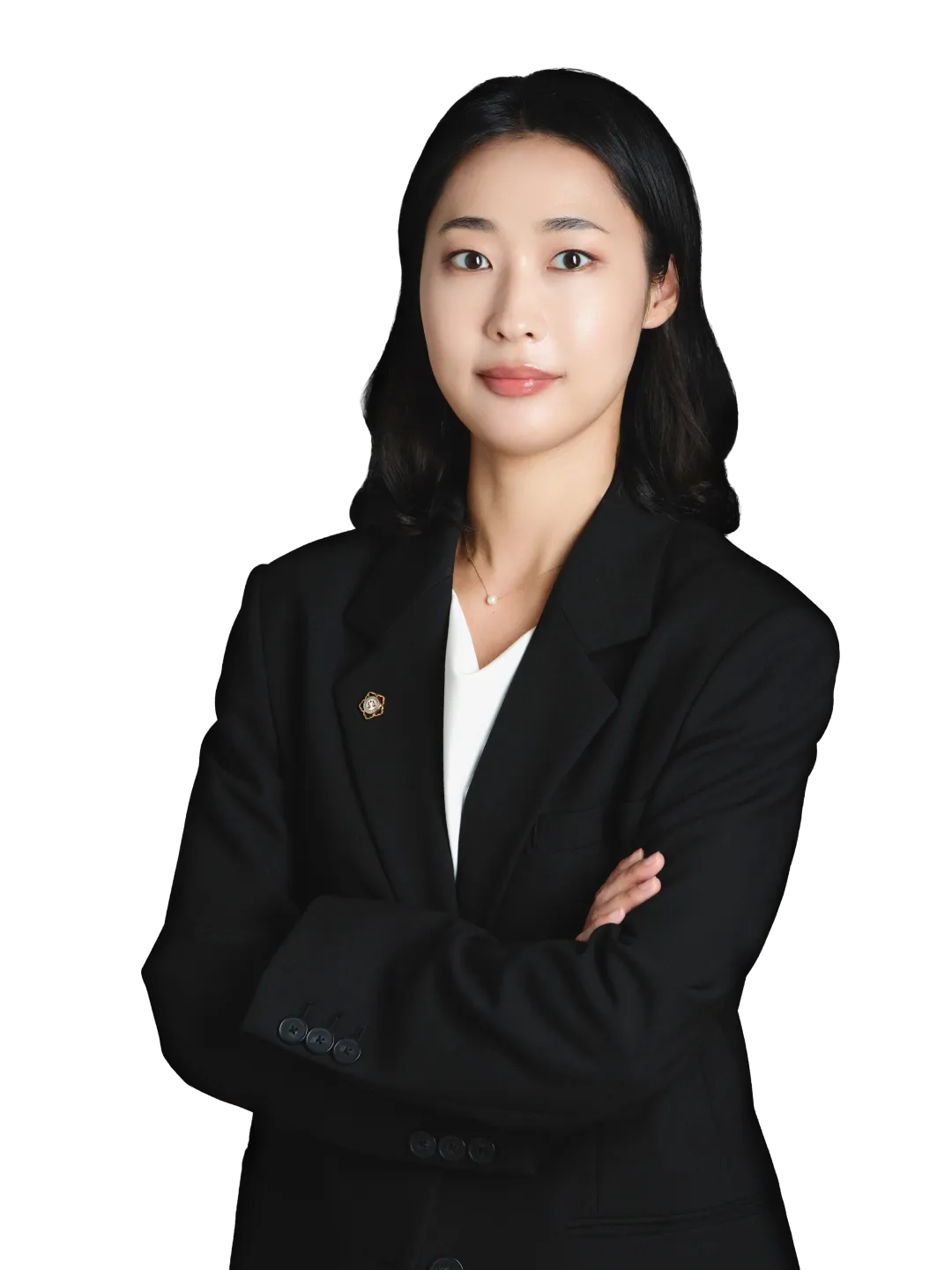 배수진 민사소송·조정전문변호사